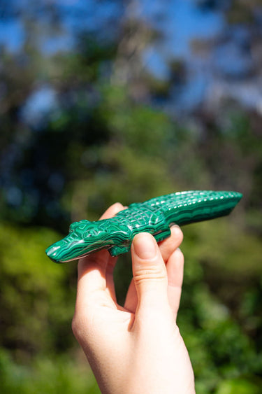 Malachite Crocodile